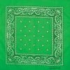 Artex Kelly Green Paisley Bandana - 8B007 - Bandanas -Clothing & Shoes Sales 42dab9ea5a656be70a74433ac454da348a9393df IMG 8B007 KELLY