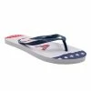 Gina Group Women's Flip Flop Sandal USA - EVW42082 - Thong Sandals Women's -Clothing & Shoes Sales 572352480ad9bd0391b9c74346002c57620d3653 EVW42082 USA