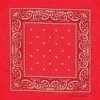 Artex Red Paisley Bandana 8B003 - Ties -Clothing & Shoes Sales 784c59b58b9ac0545e05ea332f0a3495ef597fcd 8b003