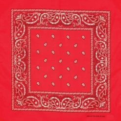 Artex Red Paisley Bandana 8B003 - Ties