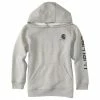 Carhartt Child Boys CH Logo Sweatshirt Grey - CA8850-H01-BM - Sweatshirts -Clothing & Shoes Sales 9e7c18c2a1006ccadea457c1d8a755f729ec6a00 CA8850 H01 1