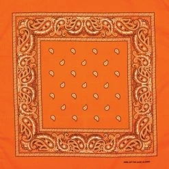 Artex Paisley Bandana Orange - 8B026 - Apparel Accessories -Clothing & Shoes Sales a9bf2ee742a9f4953b7c589263aa4c85dc83abcb 8b026