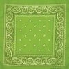 Artex Lime Green Paisley Bandana 8B008 - Apparel Accessories -Clothing & Shoes Sales b1a31902ce43769dc3d90c79e4cc0a7dd0195cc5 8b008