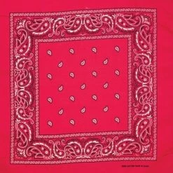 Artex Hot Pink Paisley Bandana 8B014 - Ties -Clothing & Shoes Sales cf650919f083f3a9636ee8edfc52a9bcb26183a9 8b014
