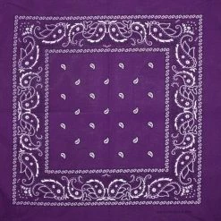 Artex Dark Purple Paisley Bandana 8B011 - Apparel Accessories -Clothing & Shoes Sales f2b453f0d3b338fd3015c671b4c0eab3b8a94d8c 8b011